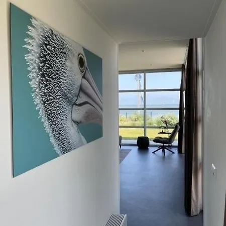 Enkhuizer Seestern Erste Reihe Hausnr 230 Дом отдыха Энкхейзен